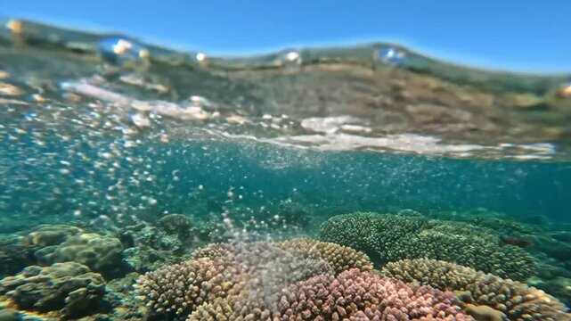 Underwater view of a wave crashing over a colorful coral reef on a sunny day in the ocean