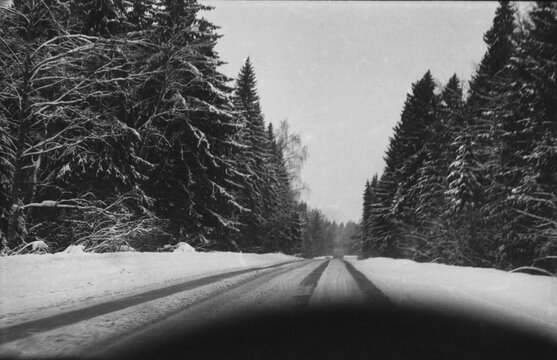 Winter Road With Snow-Covered Trees in Gray Weather