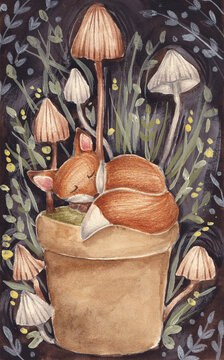 Fox sleeping in a flowerpot