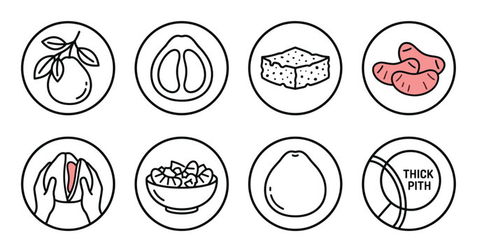 Pomelo fruit anatomy and preparation icons illustrating thick pith segments peel and culinary serving.