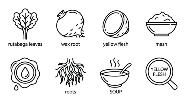 Rutabaga leaves and roots with mash, soup and yellow flesh symbols in line art.