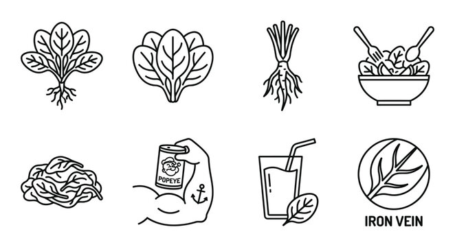Spinach line art icons Popeye strong arm roots salad smoothie iron vein cooking healthy.