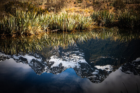 Reflets de montagnes enneig&eacute;es et ciel nuageux dans un petit lac bord&eacute; de plantes alpines, Mirror Lakes, Fiordland, &icirc;le du Sud, Nouvelle-Z&eacute;lande