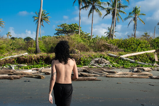 Walking on the Beach With Palm Trees and Driftwood in the Background