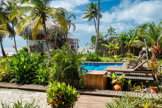 Villa's Tropical Garden With Pool and Beach View During Daytime