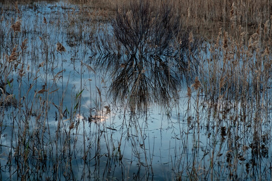 Lagoon in the Ebro Delta reflecting a blue sky
