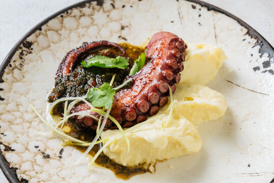 Grilled octopus with mashed potatoes and herb sauce