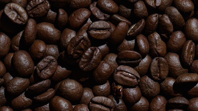 Roasted Java coffee beans background, rich brown texture of coffee beans ideal for coffee background and beverage concept.