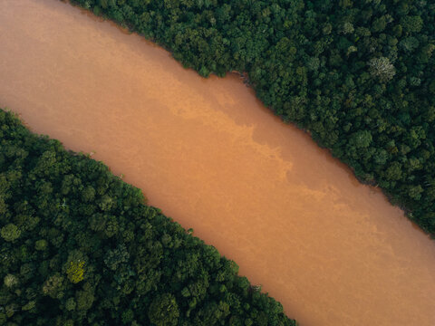 Amazon Rainforest River