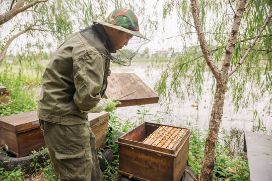 Chinese man inspects his beehives outdoors