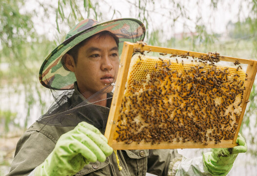 Chinese man inspects his beehives outdoors