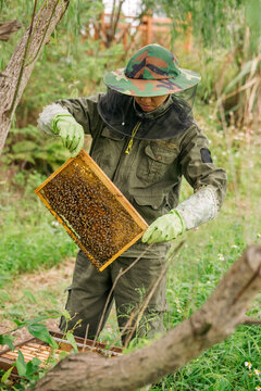 Chinese man inspects his beehives outdoors