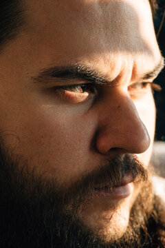 Bearded man beauty portrait
