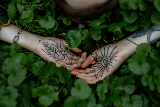 hands in the grass
