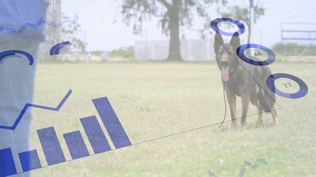 Graphics appearing growing into charts and rings overlaying dog while owner walking showing metrics