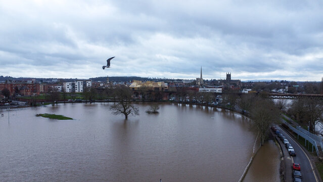 An aerial shot of a flooded racecourse and seagull