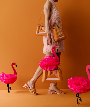 Fashion Model In Pink Fuzzy Dress With Flamingos