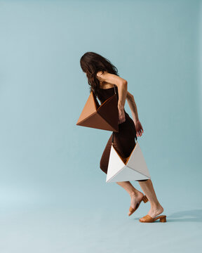 Geometric Bags in Motion With Model