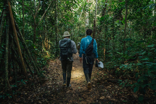 Male travelers in the jungle
