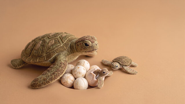 Handcrafted felt sea turtle with eggs and hatchlings emerging from a nest against a minimalist sand background with copy space.