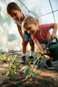 Children learning gardening in greenhouse, watering young plants