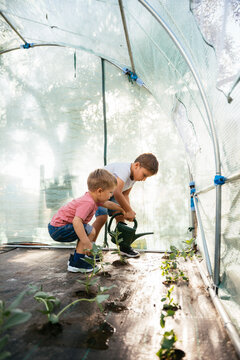 Brothers watering plants in greenhouse for gardening education