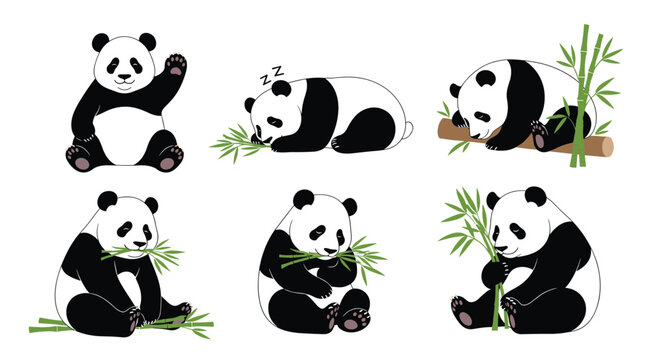 Collection of cute giant panda characters in various poses waving, sleeping on a log, and eating fresh bamboo.