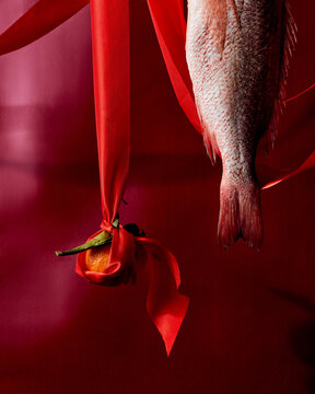 Red Fish and Orange