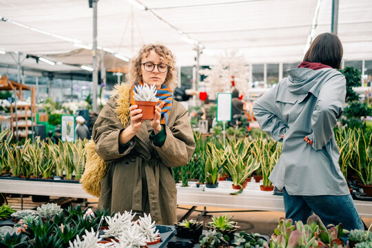 Visitors Choose Plants at a Garden Center in Spring
