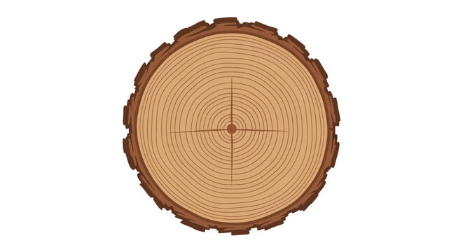 Tree Trunk Cross Section.