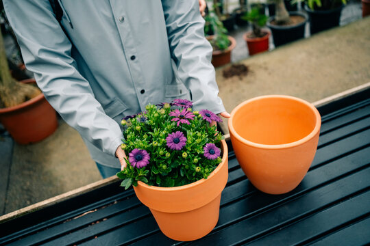 Holding a Flower Pot and Empty Pot at a Garden Center