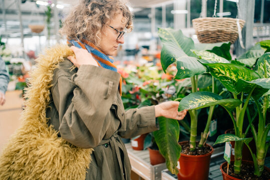 Woman Examines Plant in Garden Center While Shopping for Home