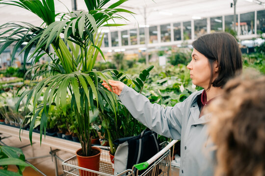 Shopping for Plants in a Garden Center in the Afternoon