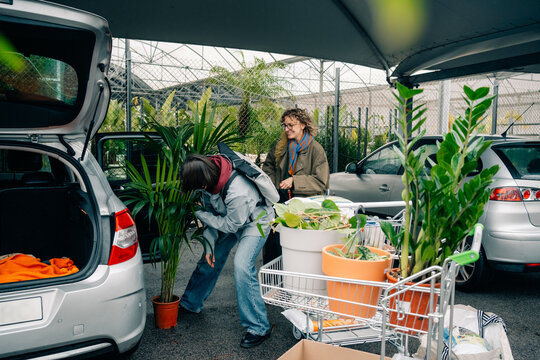 People Load Plants Into Cars at a Garden Center in Spring Season