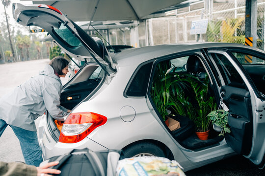 Person Loading Plants Into Car at a Parking Area in the Afternoon