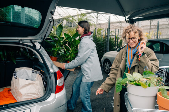 Women Loading Plants Into a Car in a Parking Area