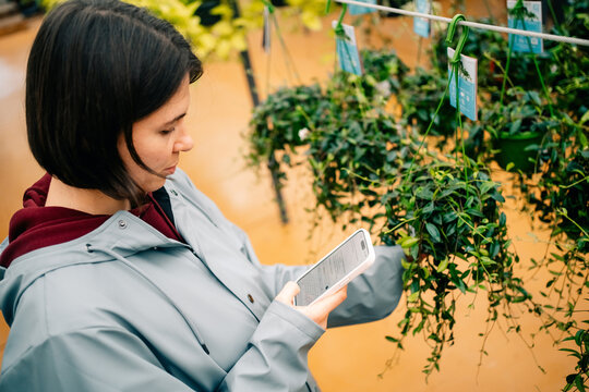 Person Looking at a Phone in a Plant Shop During the Day