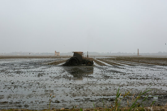Tractor in action on a wet field
