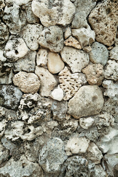 Beautiful Texture of a Coral Stone Wall in a Coastal Village