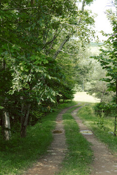 A Dirt Road