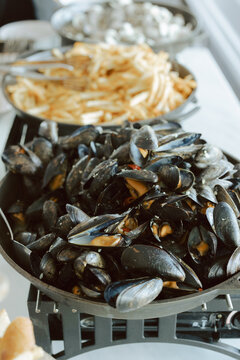 Mussel