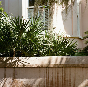 Old wall fence in Harleston Village 