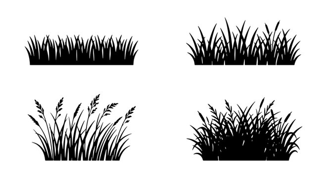 Black grass silhouette set, 4 meadow plant vector icons, wild lawn turf borders