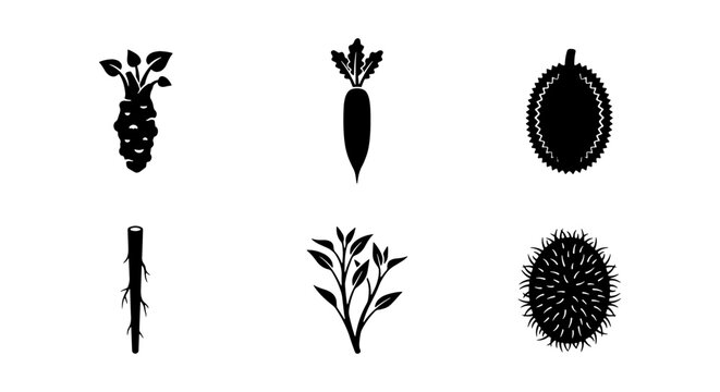 Black vegetable icons set, organic root vegetables vector, 6 flat food silhouettes