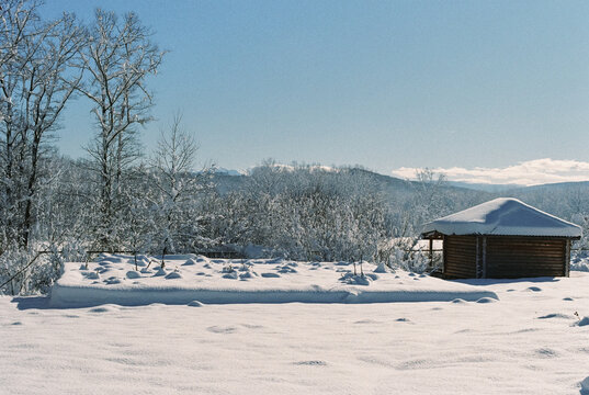 Winter landscape