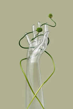 Transparent glass hand with allium stems