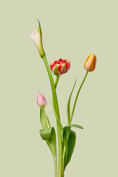 Spring flower bouquet on light green background