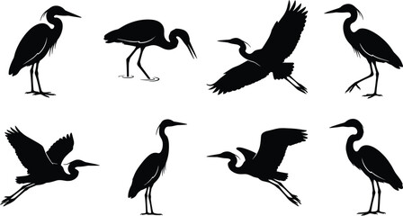 Obraz premium Collection of eight black vector heron and egret silhouettes in flying and standing poses isolated on white background for nature graphic design