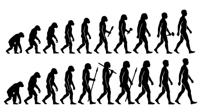 Black White Human Evolution Silhouette Vector Set - Science Anthropology Progress