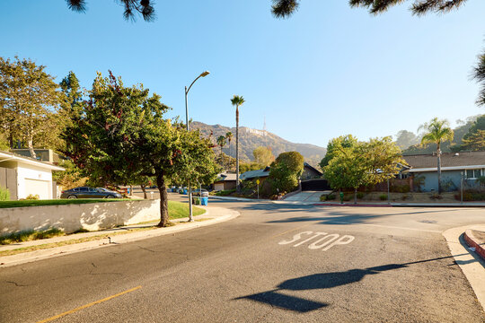 Serene street nestled within the Hollywood district